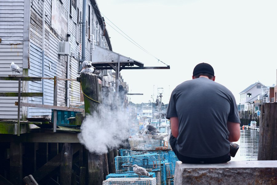 vape cotton
